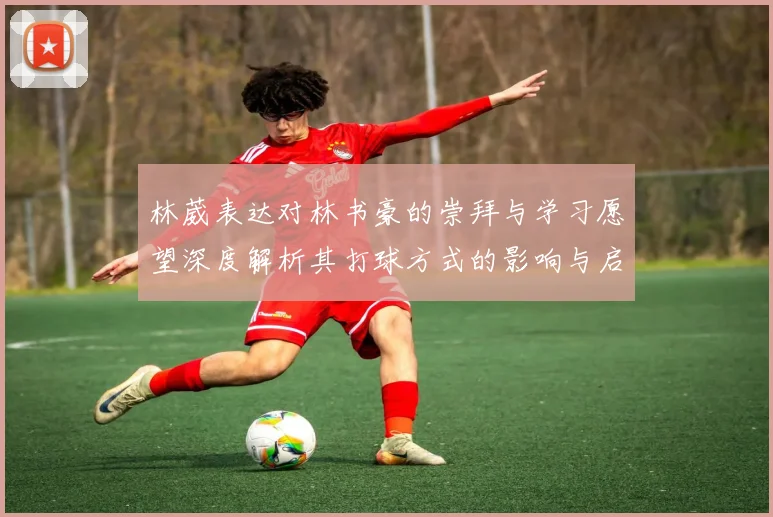 林葳表达对林书豪的崇拜与学习愿望深度解析其打球方式的影响与启发